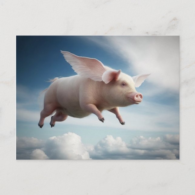 Carte Postale Les cochons voleront ! (Devant)