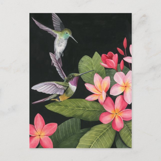 Carte Postale Les colibris de la Plumeria (Devant)