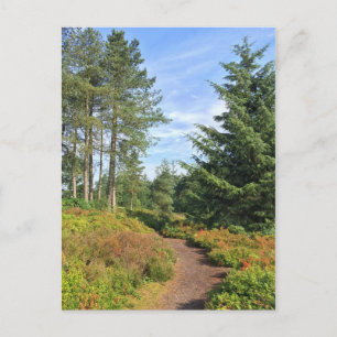 Carte Postale Les collines Lickey