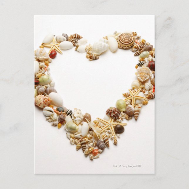 Carte Postale Les coquillages agités forment une forme cardiaque (Devant)