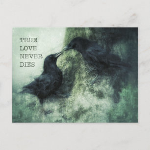 Carte Postale Les Corbeaux True Love Never