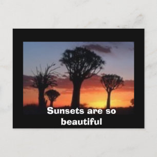 Carte Postale Les couchers de soleil sont si beaux