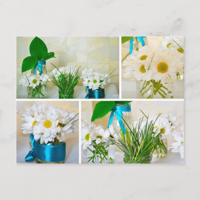 Carte Postale Les couleurs du printemps, des fleurs blanches car (Devant)