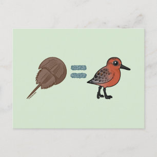 Carte Postale Les crabes en fer à cheval sont la vie