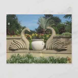 Carte Postale Les cygnes gardent Hollis Gardens