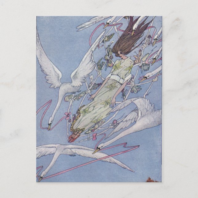 Carte Postale Les cygnes sauvages (Devant)