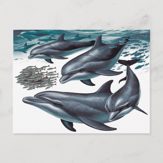 Carte Postale Les dauphins (Devant)
