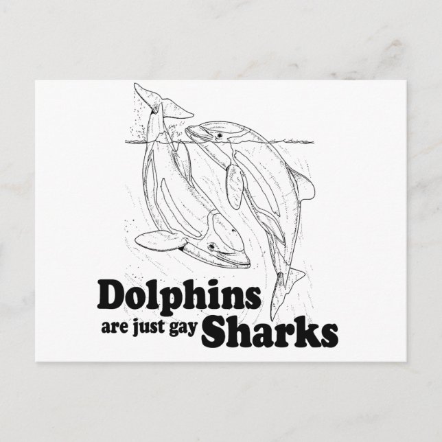 Carte Postale Les dauphins sont des requins gays (Devant)