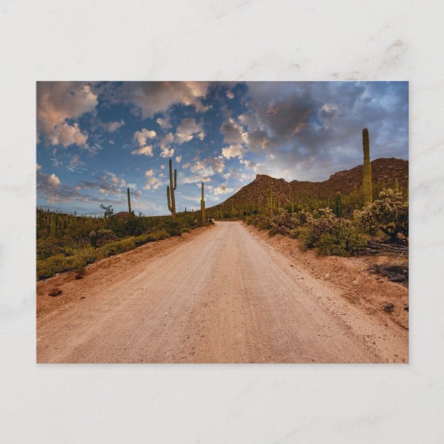 Carte Postale Les déserts | Parc national du Saguaro Arizona (Devant)