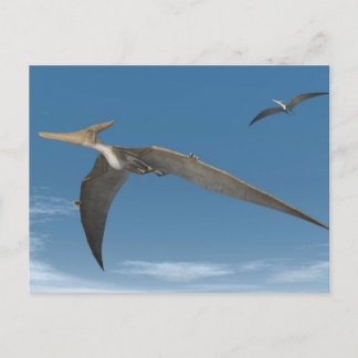 Carte Postale Les dinosaures de Pteranodon volent - rendu 3D