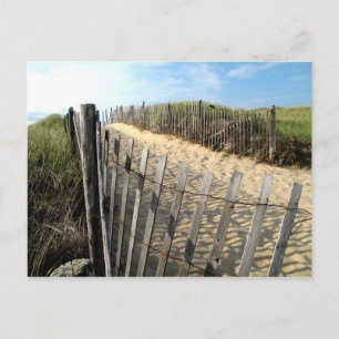 Carte Postale Les dunes de Cape Cod
