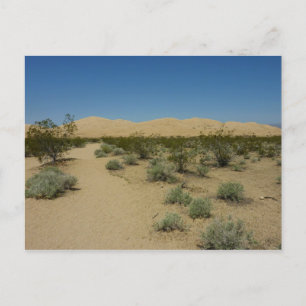 Carte Postale Les dunes de Kelso dans le parc national Mojave