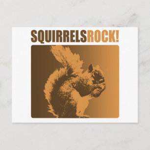 Carte Postale Les écureuils Rock !