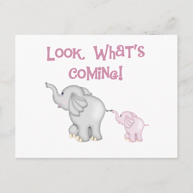 Carte Postale Les éléphants roses regardent ce qui arrive (Devant)