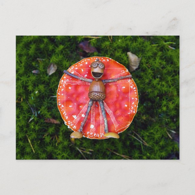 Carte Postale Les elfes d'Acorn comme Léonard pondent sur le cha (Devant)