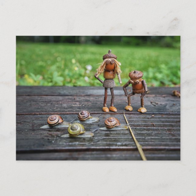 Carte Postale Les elfes d'Acorn regardent les courses d'escargot (Devant)