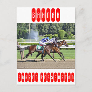 Carte Postale Les enjeux de Schuylerville