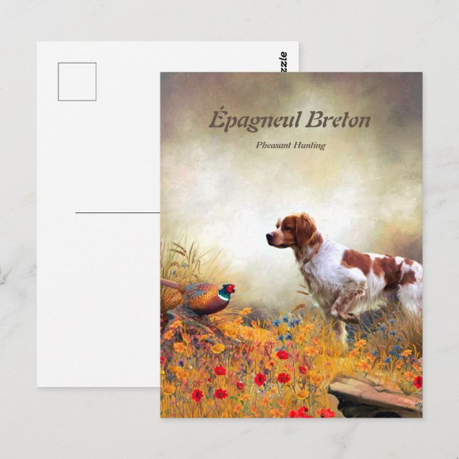 Carte Postale Les Épagneuls Bretons , Saison de chasse aux oisea (Devant / Derrière)