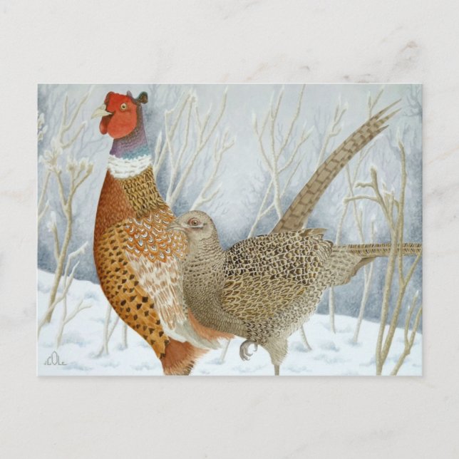 Carte Postale Les faisans dans la neige (Devant)