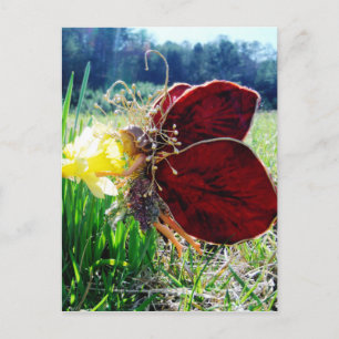 Carte Postale Les fées dans les jonquilles