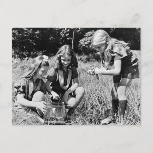 Carte Postale Les filles ramassent les grenouilles, années 1940