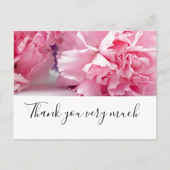 Carte Postale Les fleurs Carnation rose sont sur arrière - plan  (Devant)