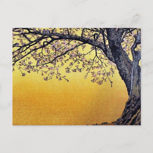 Carte Postale Les fleurs de cerisiers de Yoshida Toshi (Devant)