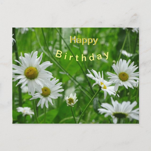 Carte Postale Les Fleurs Sauvages De La Marguerite Poussière. Ca (Devant)