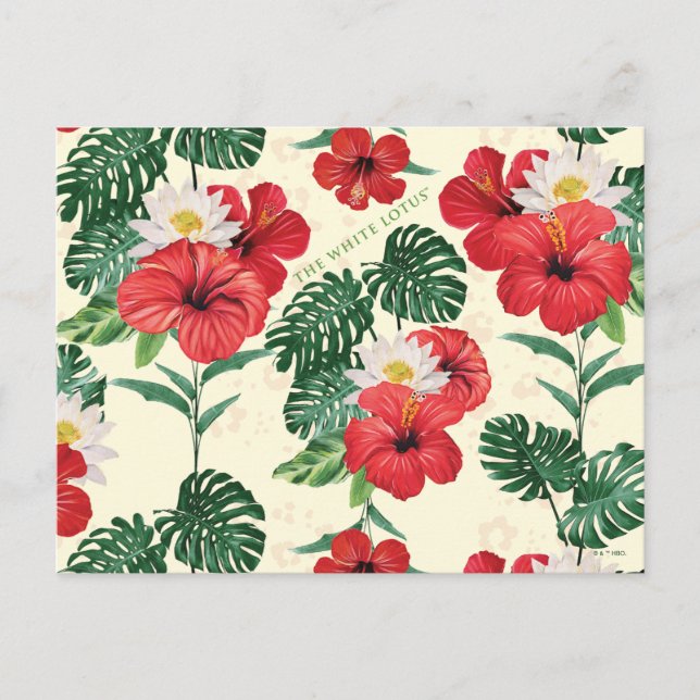 Carte Postale Les fleurs tropicales du Lotus Blanc (Devant)