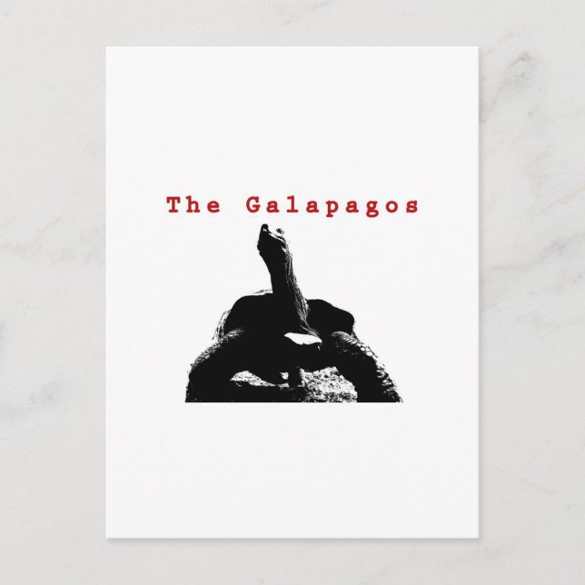 Carte Postale Les Galapagos (Devant)