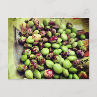 Carte Postale Les Gandules de la ferme postale