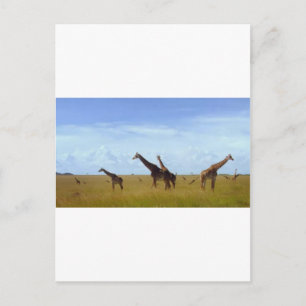 Carte Postale Les Giraffes du Parc National de Nairobi