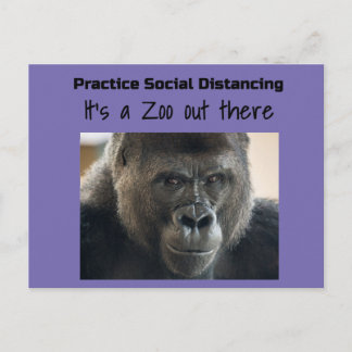 Carte Postale Les gorilles dans l'émeute du Midst Corona par Fun