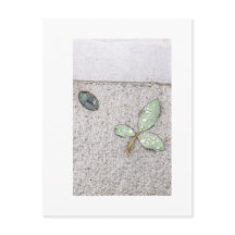 Les gouttelettes d'eau sur la photographie feuille