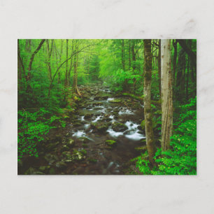 Carte Postale Les Grands Smoky Mountains