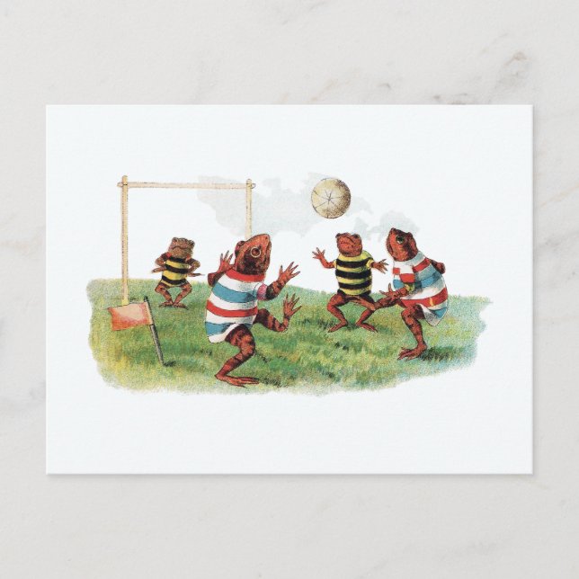 Carte Postale Les grenouilles jouent au football (Devant)