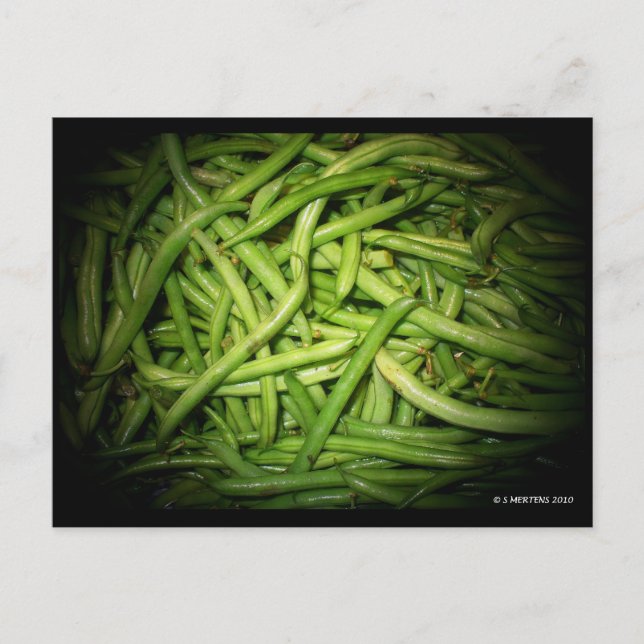 Carte Postale Les haricots verts sous les projecteurs (Devant)