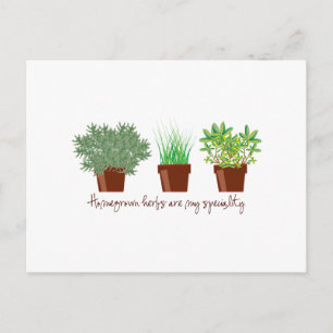 Carte Postale Les Herbes Maison Sont Ma Spécialité