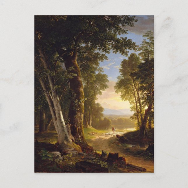 Carte Postale Les hêtres (Devant)