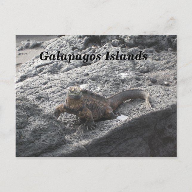 Carte Postale Les îles Galapagos (Devant)