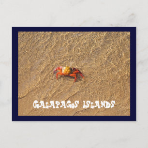 Carte Postale Les îles Galapagos