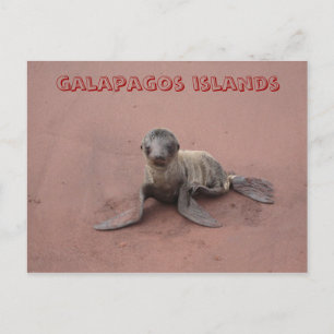Carte Postale les îles galapagos