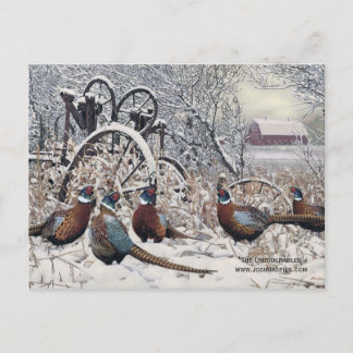 Carte Postale "Les intouchables" par Joshua Spies