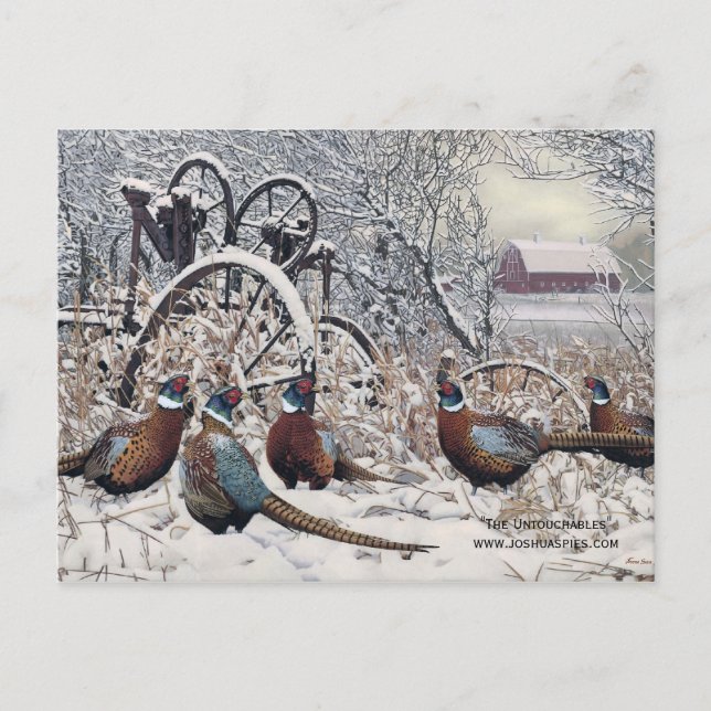 Carte Postale "Les intouchables" par Joshua Spies (Devant)