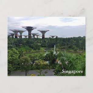 Carte Postale Les jardins de Singapour dans la baie