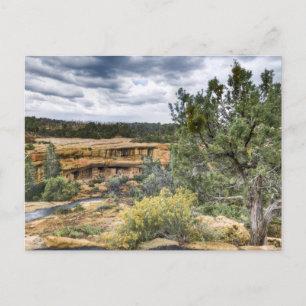 Carte Postale Les Logements de Mesa Verde Cliff