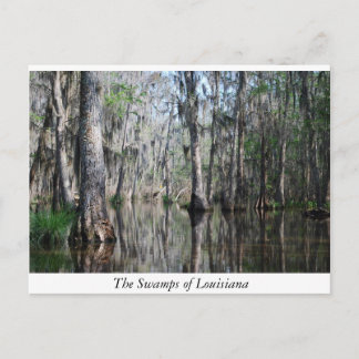 Carte Postale Les marécages de Louisiane