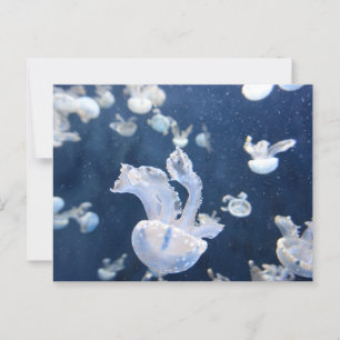 Carte Postale Les méduses dans l'océan