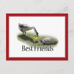 Carte Postale Les meilleurs amis - La tortue et l'oie