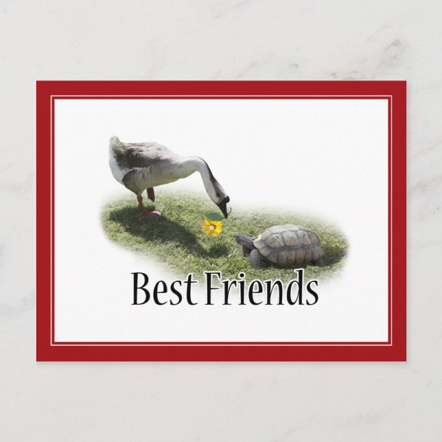 Carte Postale Les meilleurs amis - La tortue et l'oie (Devant)